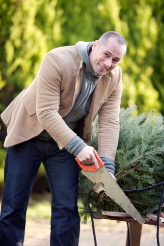 Tips about How to Cut the Bottom of a Christmas Tree