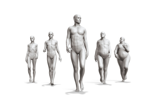 Determine Your Body Mass Index