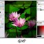 Color Correction GIMP Freeware