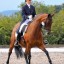 How to Do a Half Pass in Dressage