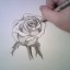 Medieval Rose