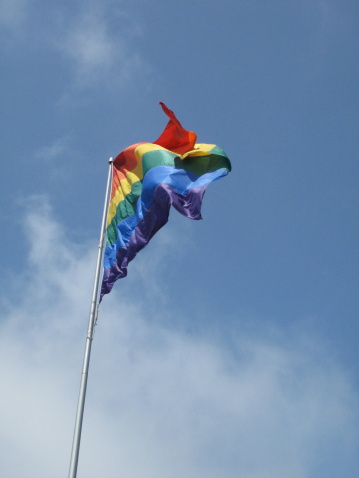 Enjoying the Gay Pride Parade in New York City