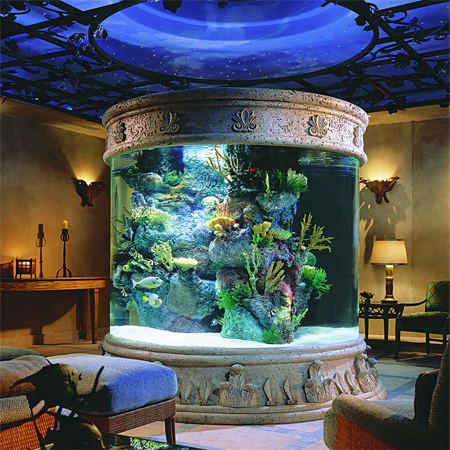 fish tank