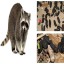 Raccoon Poops