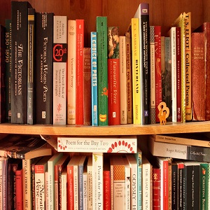 Bookshelves for More Books