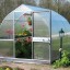Tips to Overwinter Plants in a Greenhouse
