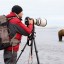 How to Photograph Wildlife