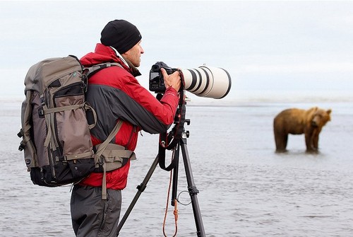 How to Photograph Wildlife