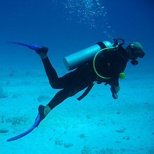 How to Scuba in a Shipwreck