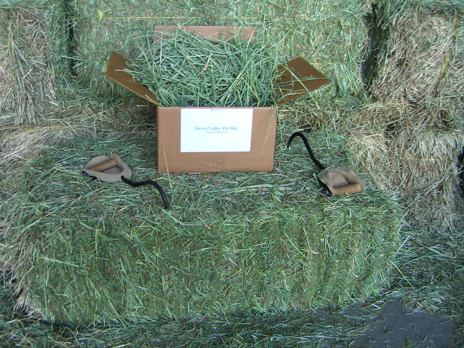 Sell Hay