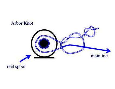 Arbor Knot for Fishing