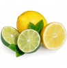 Lemon and Lime to Make Your House Smell Wonderful Naturally