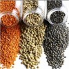 Lentils Foods Rich in Protein