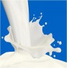 Milk Food Rich in Protein