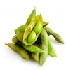 Soybeans Foods Rich in Protein
