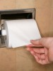 Hand Taking Toilet Paper