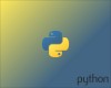 Python Programming Language