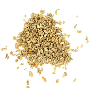 Anise Seed