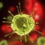 What is The Human Immunodeficiency Virus