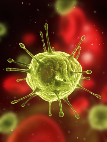 What is The Human Immunodeficiency Virus