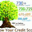 Credit Score Tree