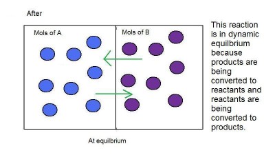 Difference Between Static and Dynamic Equilibrium