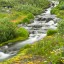 Blurred water in stream and wildflowers