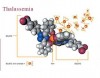 Thalassemia