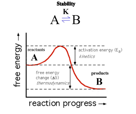 Difference Between Thermodynamics and Kinetics