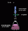 Titration