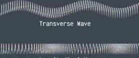 Transverse and Longitudinal Waves
