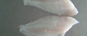 Fish Fillet