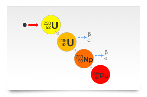 Uranium and Plutonium