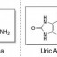 Urea and Uric Acid