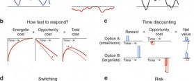 Difference between Dopamine and Serotonin