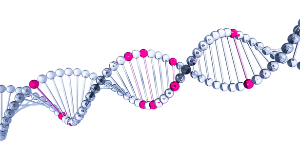 Frameshift Mutation and Point Mutation