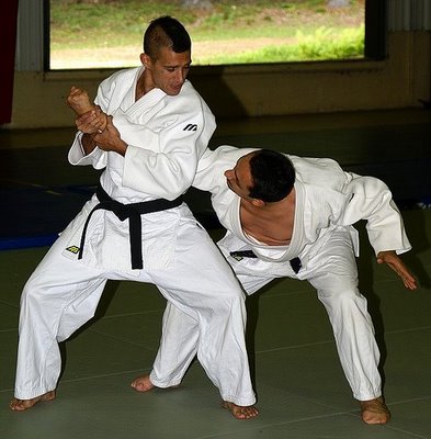 Judo and Aikido