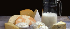dairy products