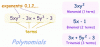 Polynomial