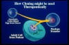 Difference between Therapeutic Cloning and Reproductive Cloning