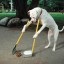 Tips to Choose a Dog Pooper Scooper Service Company