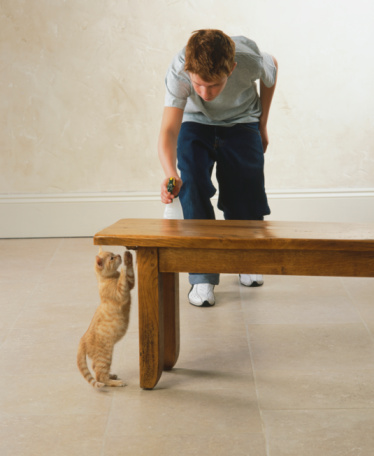 Boy Fixing Scratches in Furniture