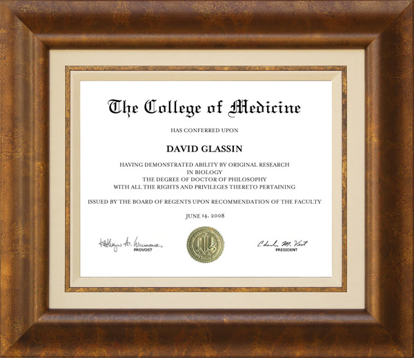 Diploma in a frame