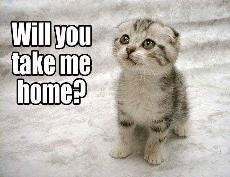 will you take me home?