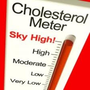 Cholesterol Meter