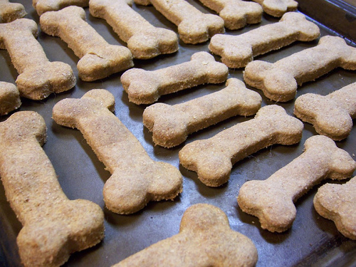 Dog treats