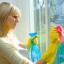 Cleaning windows with glass cleaner