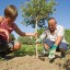 Preparing Soil for Planting