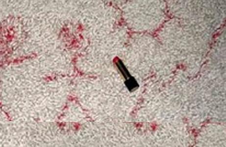 Lipstick stains on Carpet