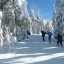 Tips to Snowshoe at Crater Lake National Park